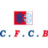Comptoir de Froid Climatisation d'Equipement Industriel et Bureautique( C.F.C.B )