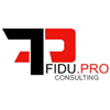 Fidu. Pro Consulting